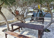 Golden Donkeys Farm - Skarinou