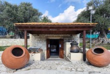 Golden Donkeys Farm - Skarinou