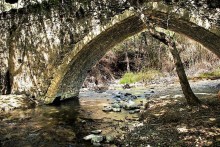 bridge trimiklini