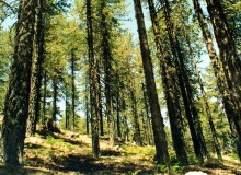 geopark troodos 