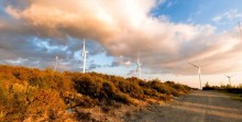 oreites windmill farm