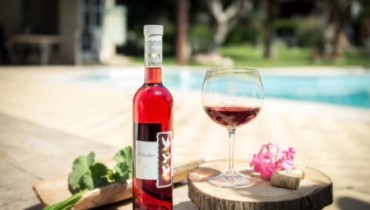 Hadjiantonas Winery - Parekklisia