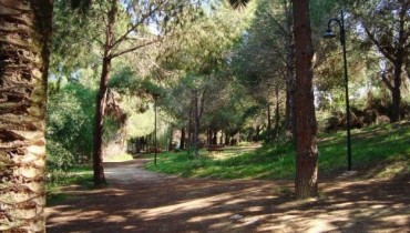 Pedagogical Academy Natural Forest Park
