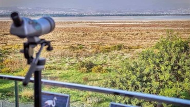 The Environmental Education & Information Centre