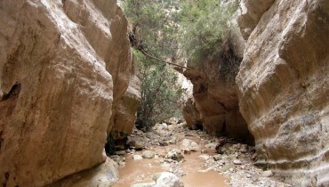 Avakas Gorge (Faraggi tou Avaka), Paphos, Cyprus