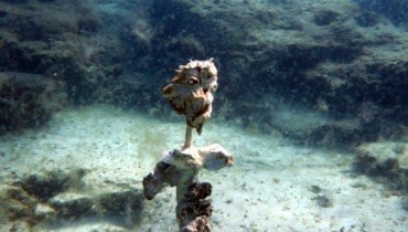 Ayia Napa Underwater Sculpture Park