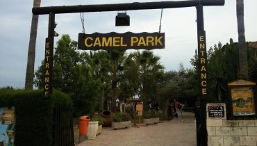 Mazotos Camel Park