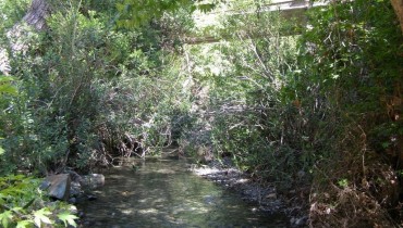 Ezousa River, Cyprus