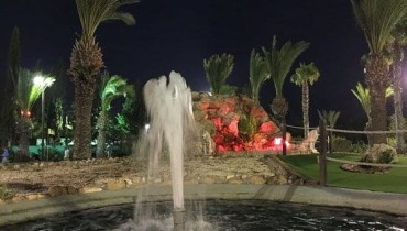 Island Cove Mini Golf