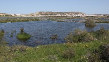 Oroklini Lake 