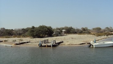 Liopetri Natural Forest Park