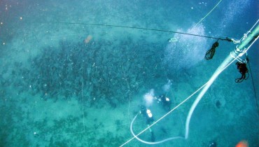 Mazotos Ancient Shipwreck