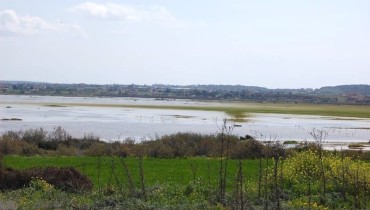 Paralimni Lake