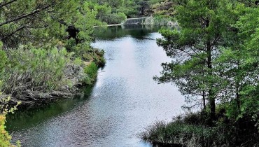 Pera Pedi Dam