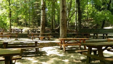 Platania Camping Site