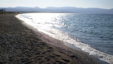 Polis Chrysochous Camping Site