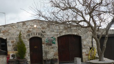 Sterna Winery