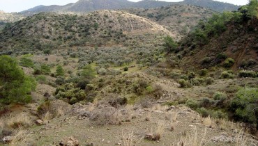 Troodos National Forest Park 