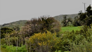 Vasilikos River