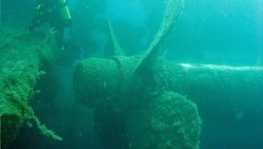 Zenobia wreck diving site