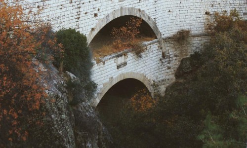 Trimiklini Double Bridge 