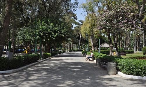 Limassol Municipal Garden
