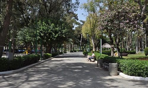 Limassol Municipal Garden, Cyprus