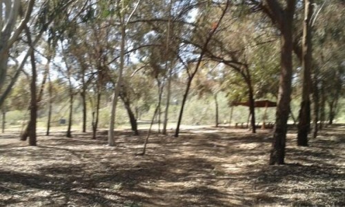 Botanical Garden - Picnic Area of South West Entrance Nature Trail 