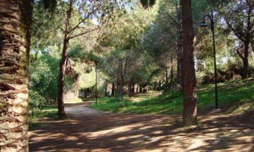 Pedagogical Academy Natural Forest Park, Nicosia, Cyprus