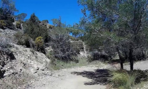 Akamas National Forest, Paphos, Cyprus