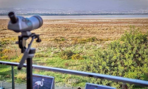 The Environmental Education & Information Centre, Limassol, Cyprus