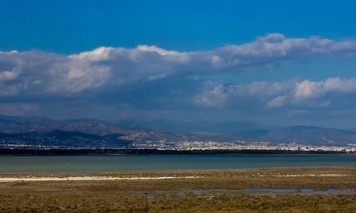 Akrotiri Peninsula, Limassol, Cyprus