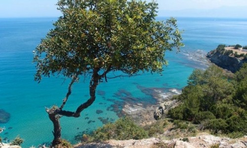 aphrodite nature trail