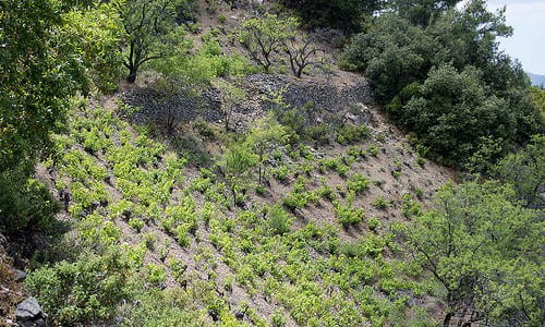 Ariadni Nature Trail 