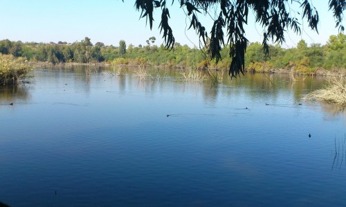 Athalassa Lake, Nicosia, Cyprus