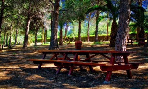 Athalassa Picnic Site, Cyprus