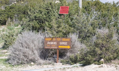 avakas gorge nature paphos
