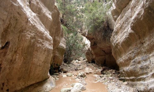 Avakas Gorge (Faraggi tou Avaka), Paphos, Cyprus