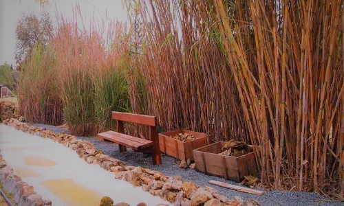 Athalassa Botanical Garden, Nicosia, Cyprus