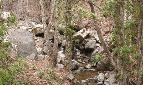 Caledonia Nature Trail 