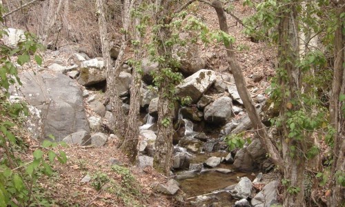 caledonia nature trail