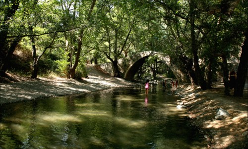 Diarizos River, Paphos, Cyprus