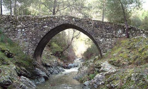 elia bridge fini
