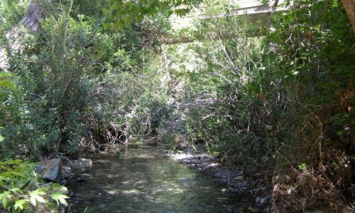 Ezousa River, Paphos, Cyprus