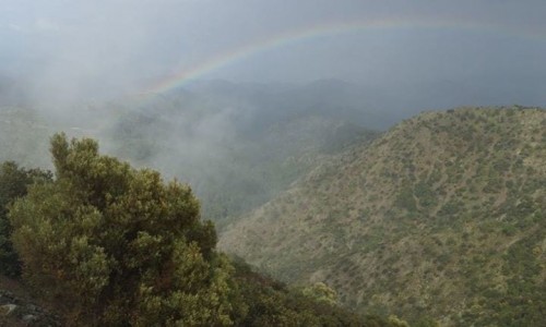 Machairas Forest, Nicosia, Cyprus