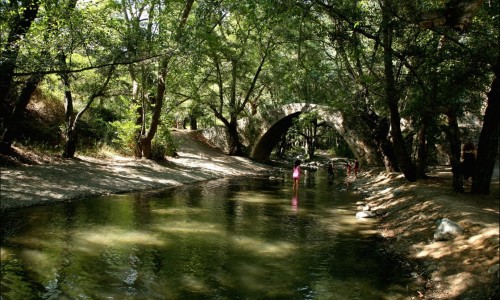 Paphos Forest, Cyprus