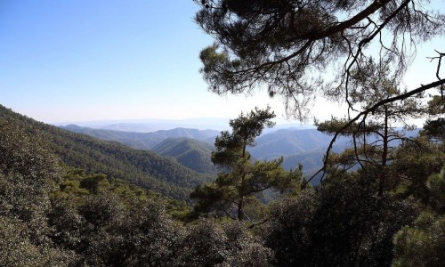 horteri nature trail