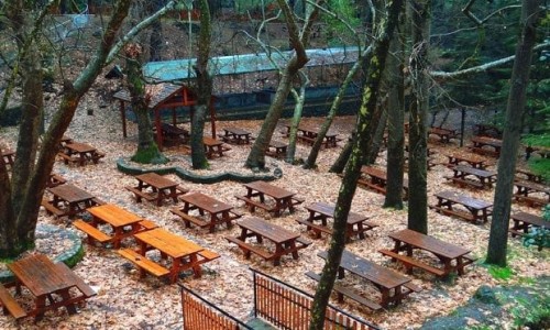 Kampos tou Livadiou Picnic Site 