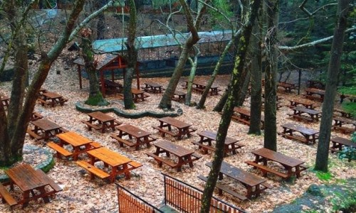 Kampos tou Livadiou Picnic Site, Limassol, Cyprus