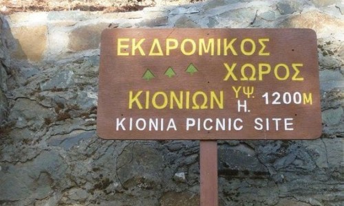 kionia-picnic